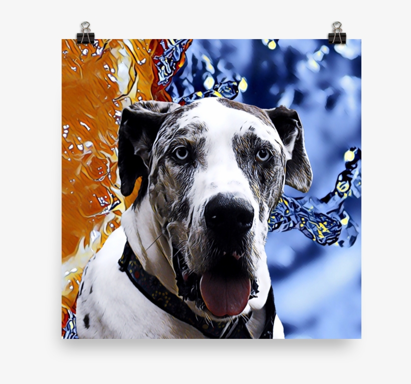 Great Dane Poster, transparent png download