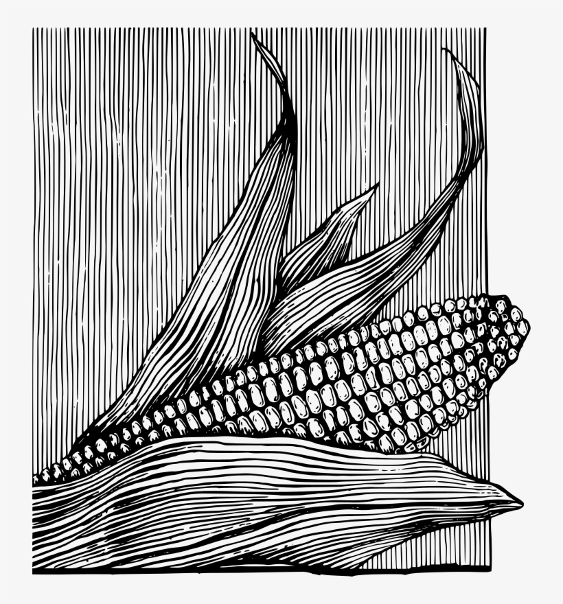 Free Corn On The Cob - Ilustracion Maiz Blanco Y Negro Png, transparent png download