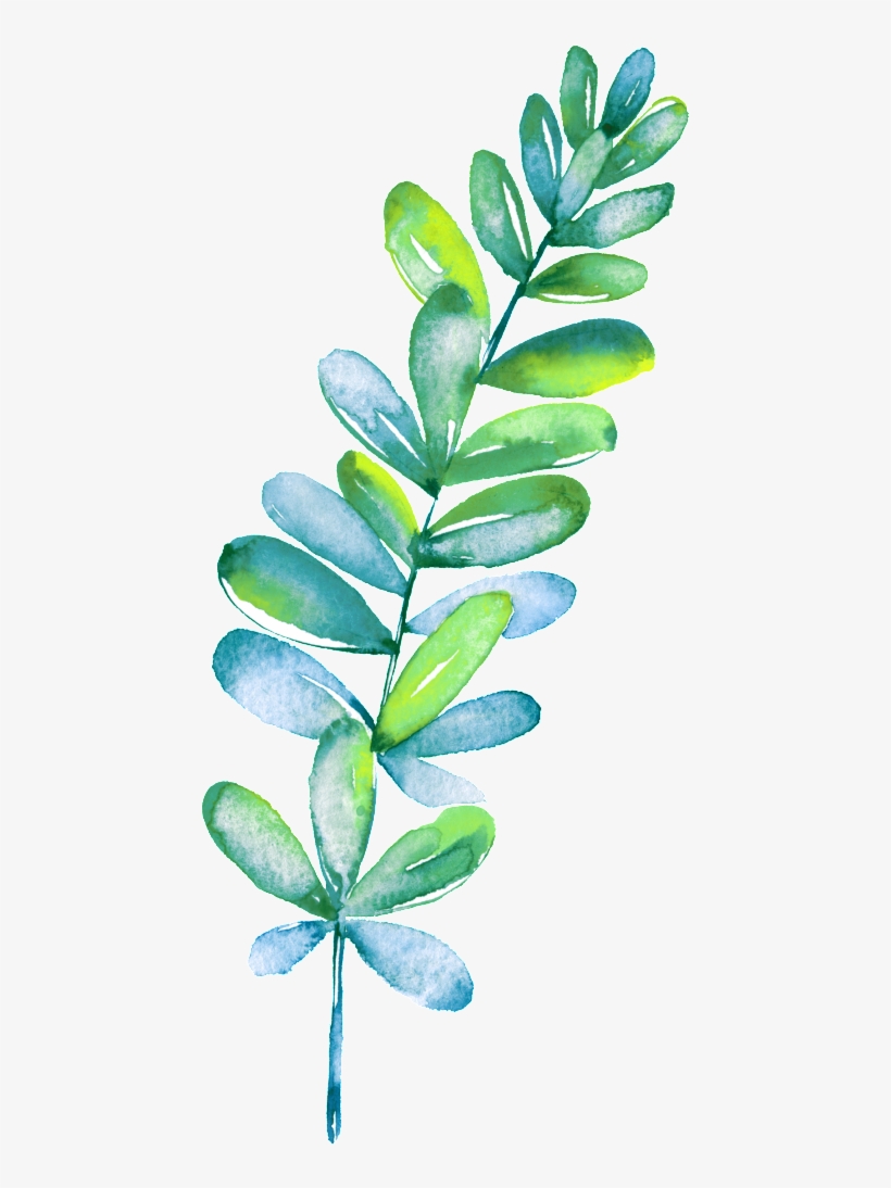 Beautiful Painted Green Plant Vector, transparent png download