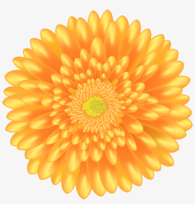 Orange Flower Png, transparent png download