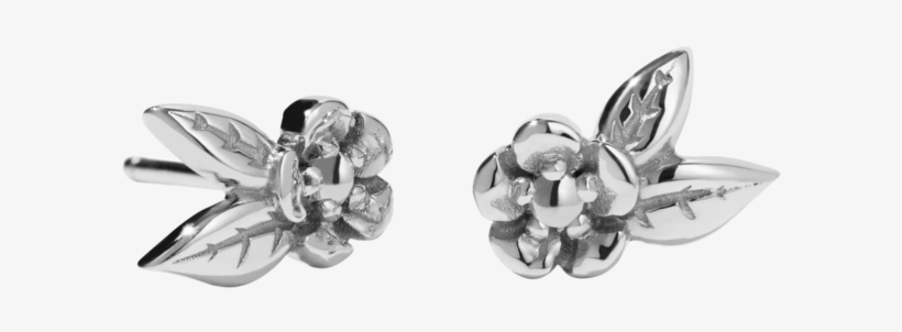Earring, transparent png download