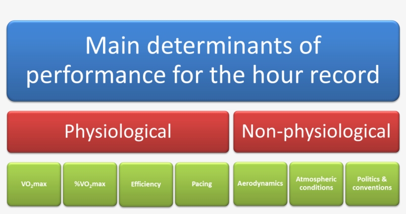 Main Determinants Of Performance For The Hour Record - Marinos De Anzoátegui, transparent png download