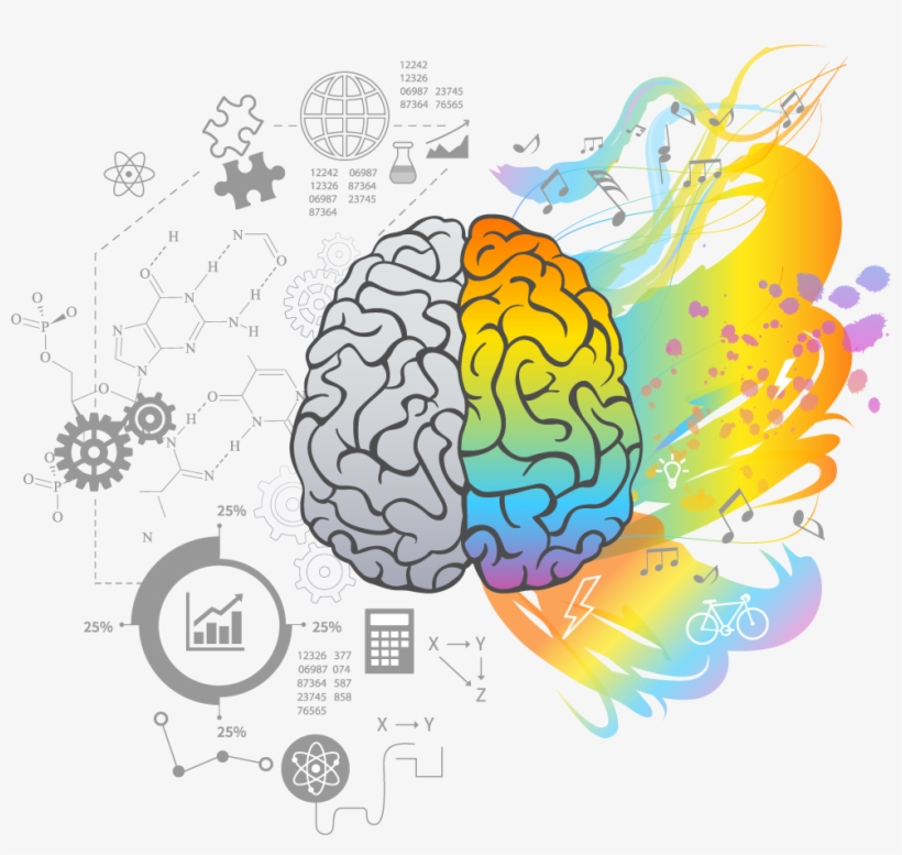 The Left Brain - Left And Right Brain Concept, transparent png download