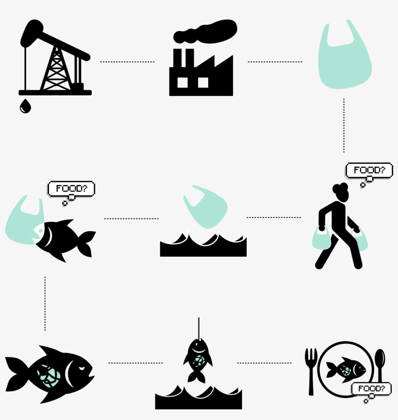 No Less Than 29 Kg Of Plastic Was Found In The Stomach - Cycle Of Plastic, transparent png download