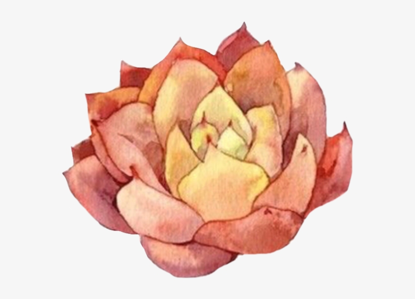 Cactus Desert Plant Rust Nature - Unique Bargains Home Pvc Bonsai Prints Diy Decor Wall, transparent png download