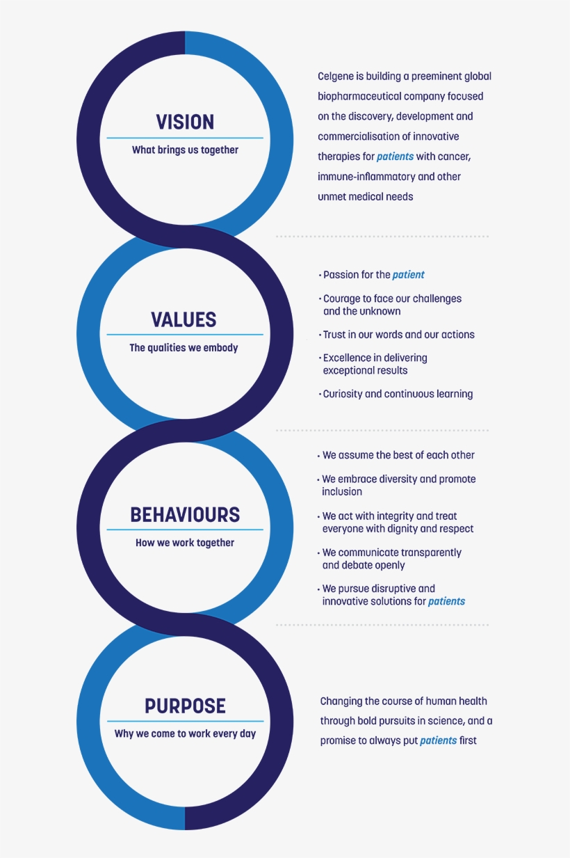 Our Culture Vertical Banner Vision Values Behaviours Transparent