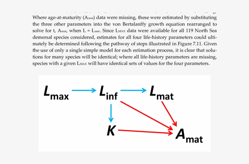 Blue Arrows Represent Linear Regression Models, Red - Parameter, transparent png download