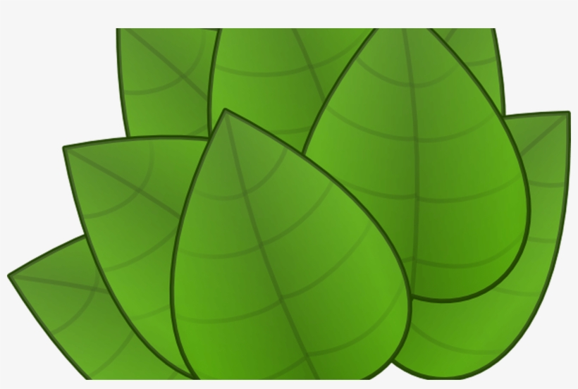 Fall Leaves Border Clipart - Parts Of The Plants Leaf, transparent png download