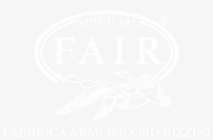F - A - I - R - Since - Logo Fair Armi, transparent png download