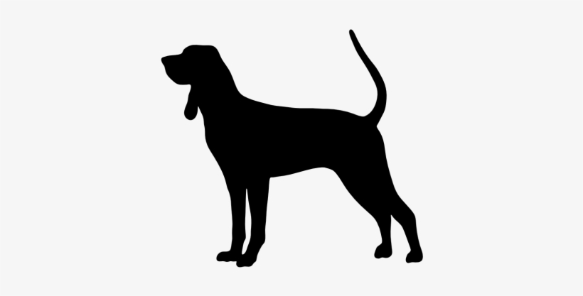 Vector Royalty Free Stock Dachshund Clipart Black And - Bluetick Coonhound Silhouette, transparent png download