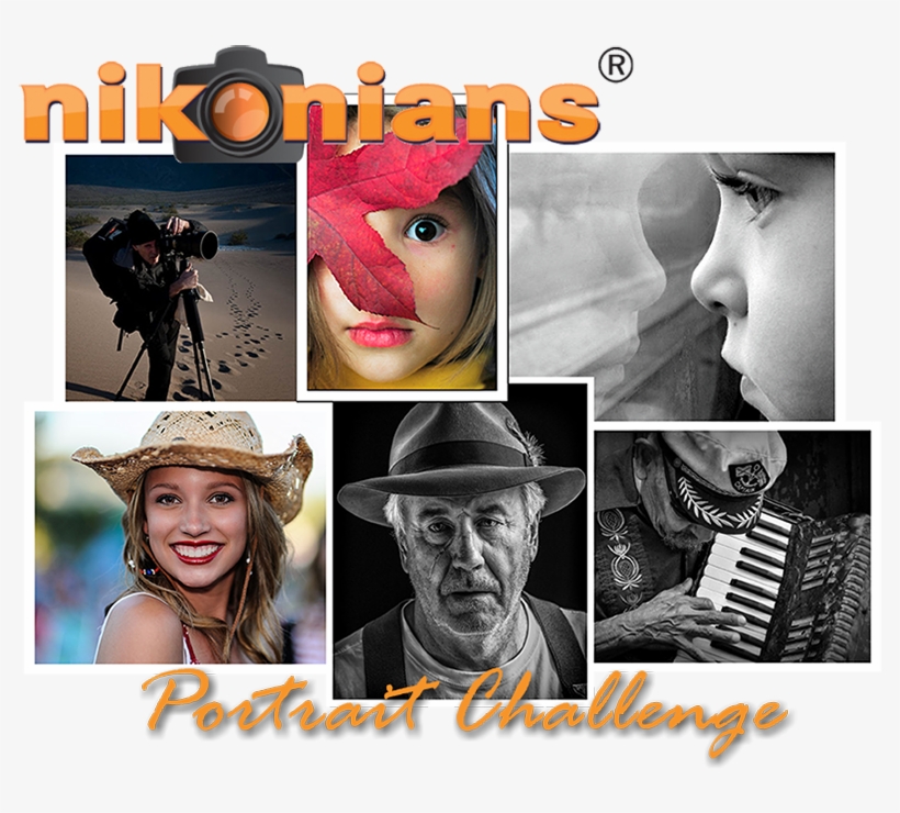 Portrai-800px - Nikonians, transparent png download
