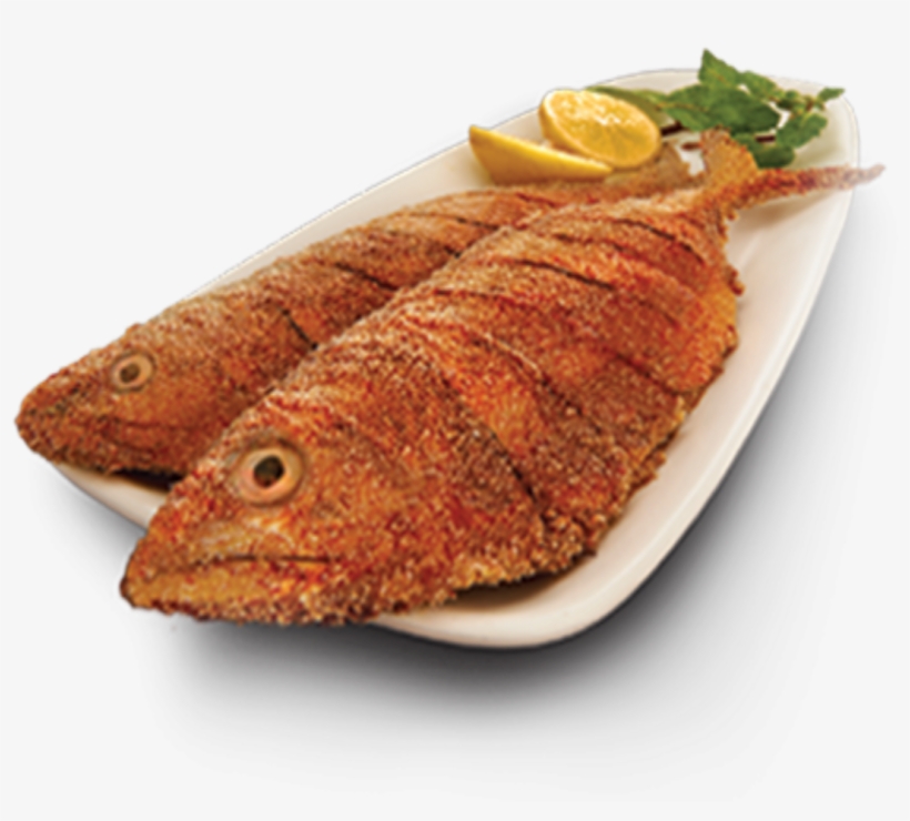 Transparent Fish Fry Png Transparent PNG - 1200x973 - Free Download on