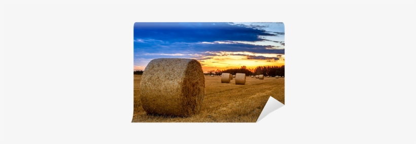 End Of Day Over Field With Hay Bale Wall Mural • Pixers - Hay, transparent png download