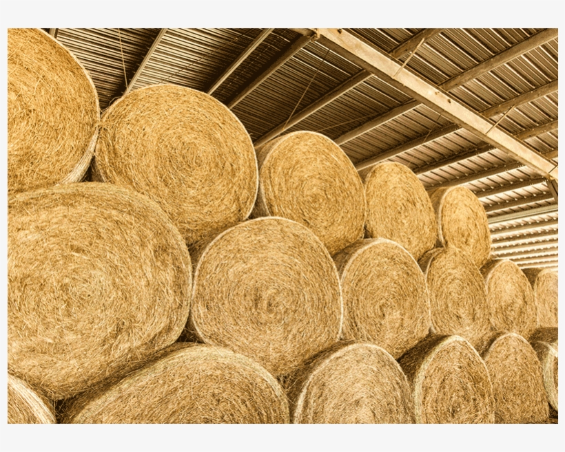Hay Bale - Hay Bales, transparent png download