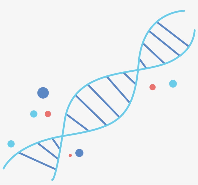 Adapt - Circle, transparent png download