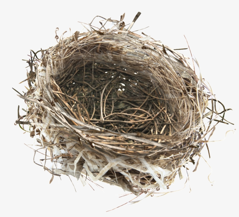 This Product Design Is Hand Painted A Nest Png Transparent - Nido Png, transparent png download