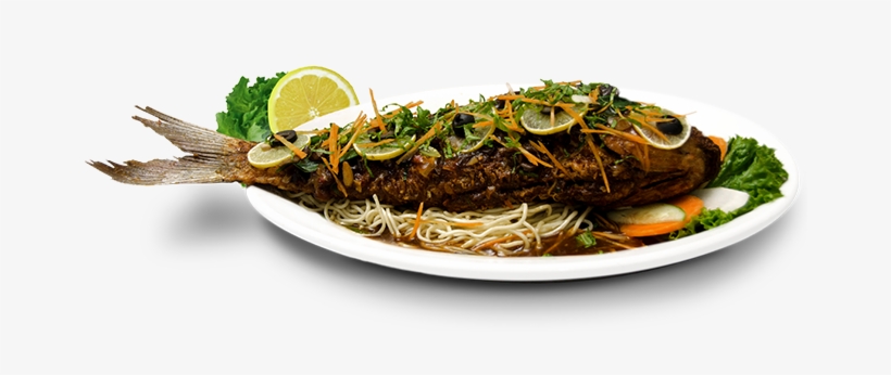 Continental - Sầm Sơn, transparent png download