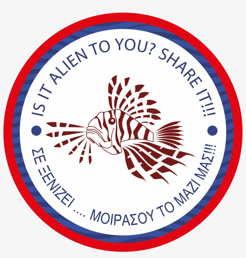 Isea Aims To Monitor The Expansion And Establishment - Idrija Lace, transparent png download