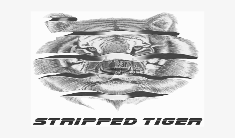 B/w Tiger Drawing Peeled Orange Effect Stripped Tiger - Illustration, transparent png download