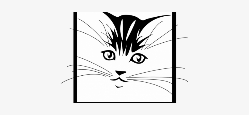 A Part Of Normal Cat Behavior Is Their Instinctive - Sticker Tete De Chat, transparent png download