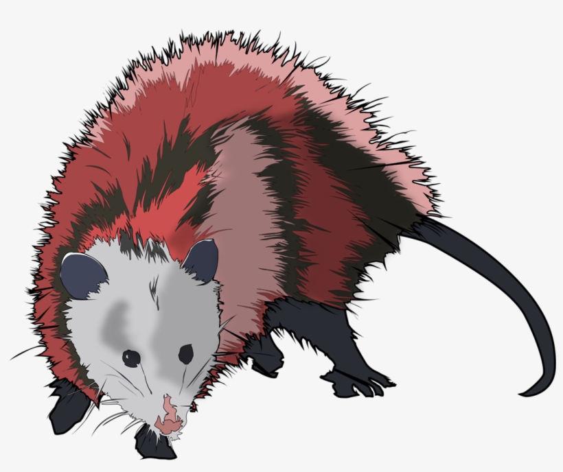 My Artwork Communist Virginian Picture Transparent - Possum Vector Png, transparent png download