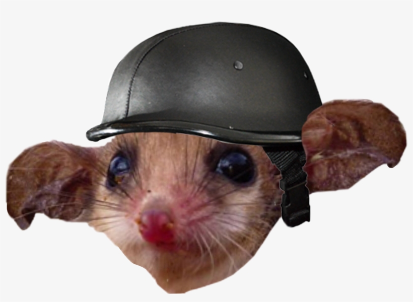 Report Abuse - Helmet, transparent png download