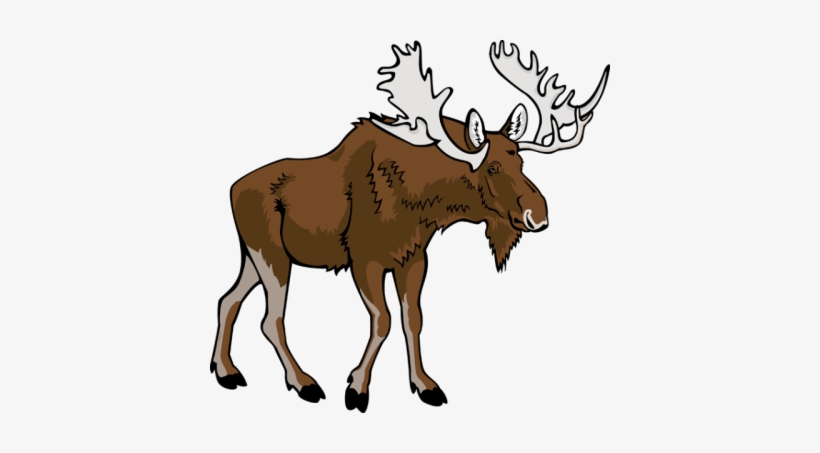 Hand Draw Deer, Antlers Clipart, Deer Clipart, Moose, - Moose Clipart, transparent png download