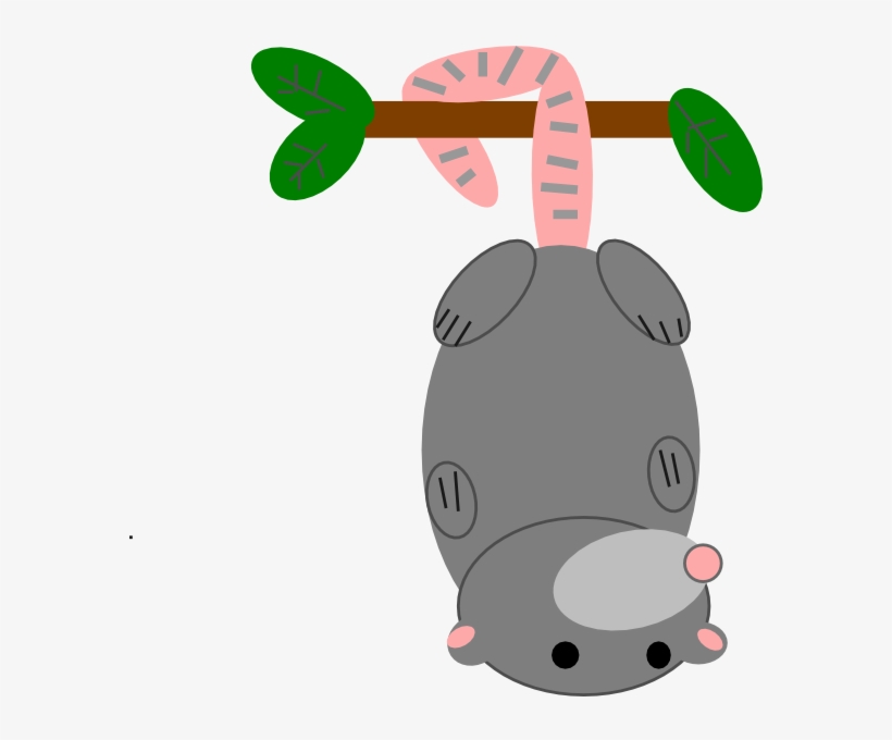 Possum Clipart - Clip Art, transparent png download