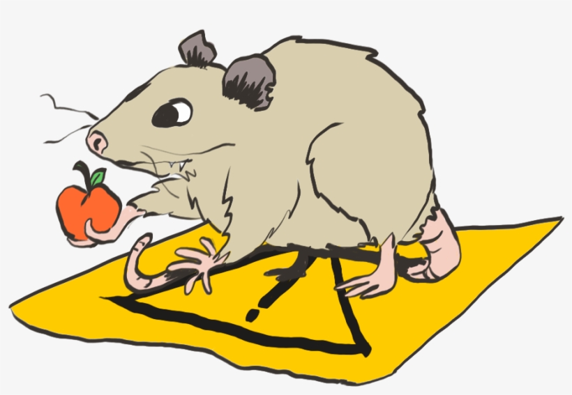 The Caution Possum Doesn't Quite Get It, But He's Trying - Mouse, transparent png download