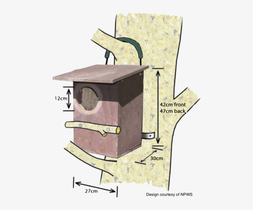 How To Make A Possum Box - Make A Possum Box, transparent png download