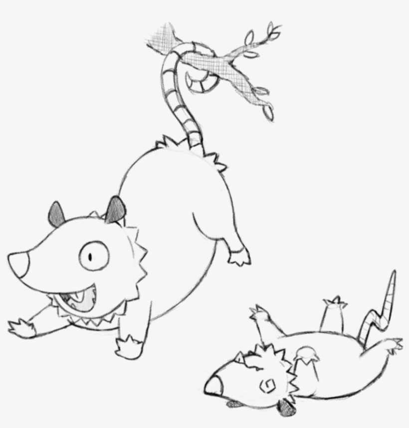 Possum Drawing At Getdrawings - Drawing, transparent png download