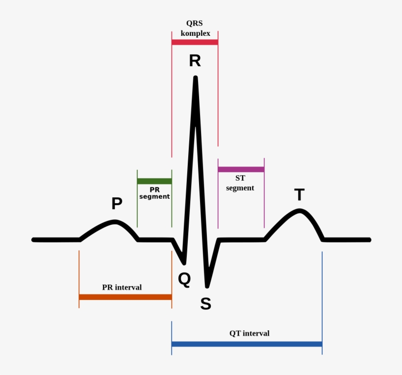 Pqrst - Qt Interval, transparent png download
