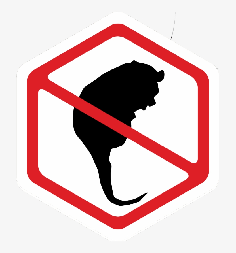 Possum Removal, transparent png download