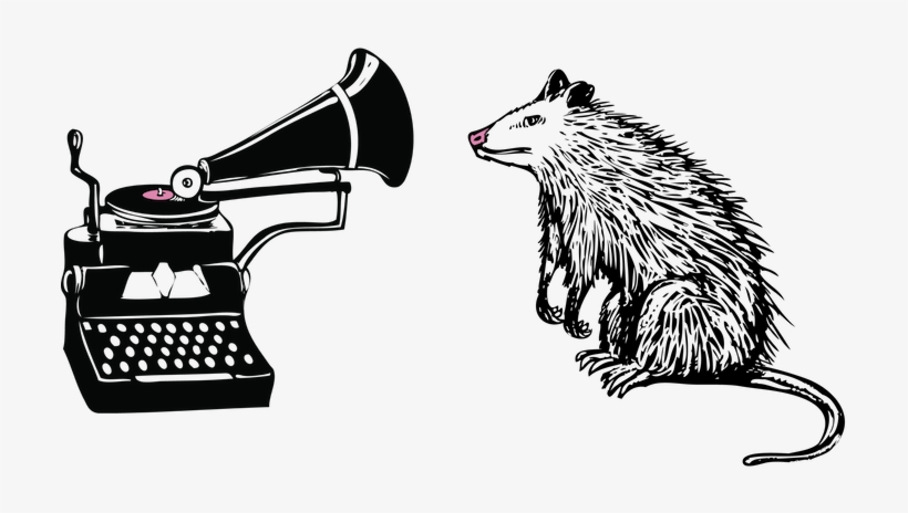 Opossum - Literature, transparent png download