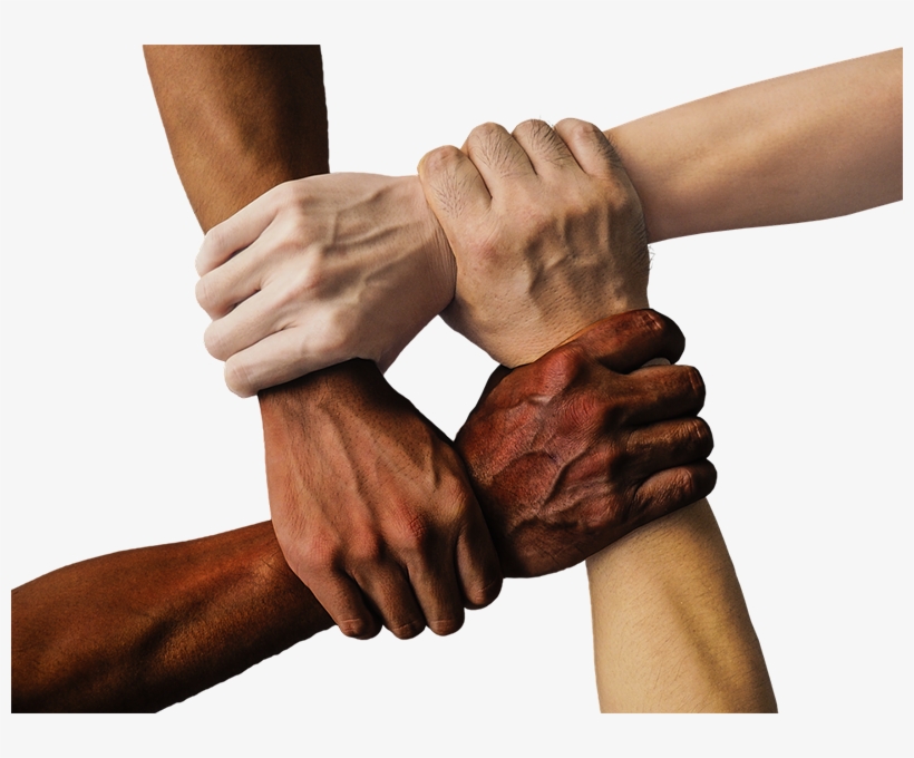 Hand,united - No Racism Hands, transparent png download