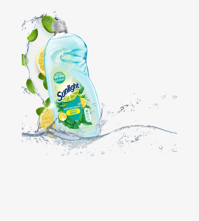 Bacteria, transparent png download