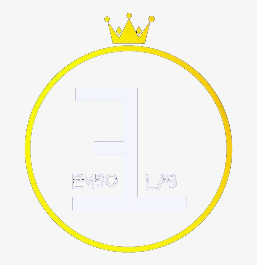 Embolab Embolab - Er Raizer, transparent png download