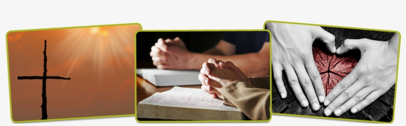 Year Of The Bible: An Enhanced Guide To Reading Scripture, transparent png download