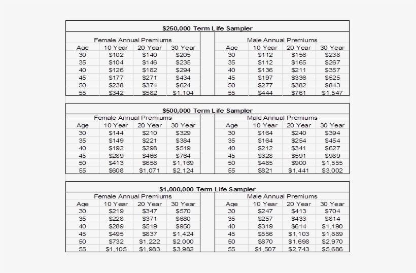 "because Life Premiums Are At Or Near Historic Lows, - Sample Term Life Insurance Premiums, transparent png download