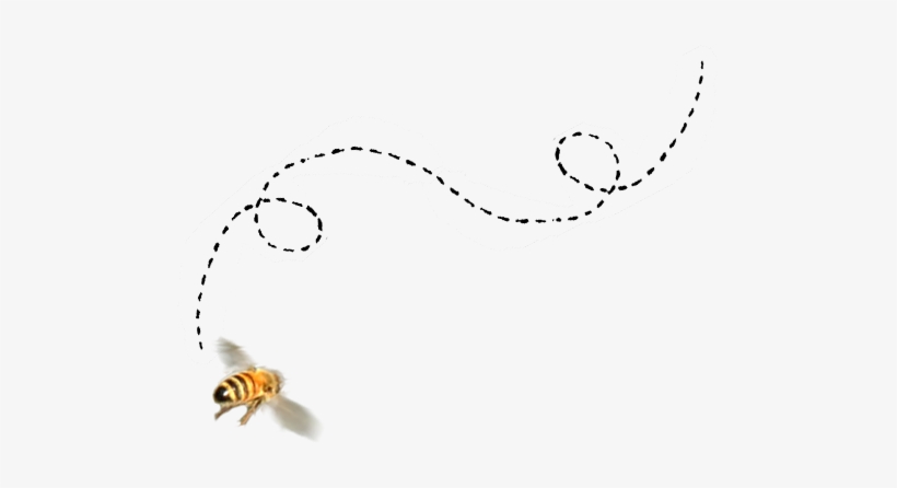 Jpg Library Images Of Flying Graphic Spacehero Adotta - Research, transparent png download