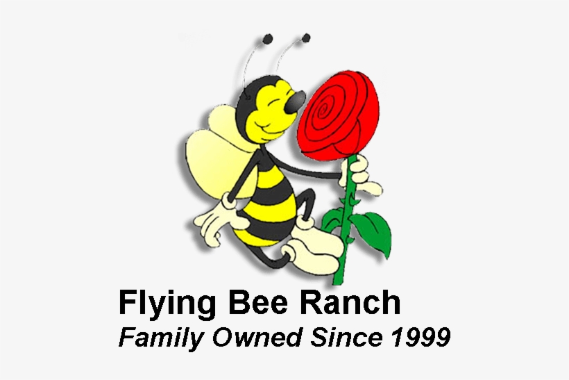 Honey Bee Products & Honey Tasting In Salem Oregon - Cartoon Bee Honey Nut Cheerios, transparent png download