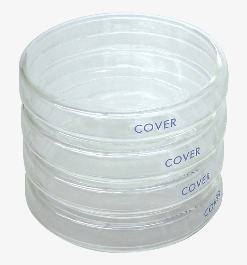 Glass Petri Dishes, transparent png download
