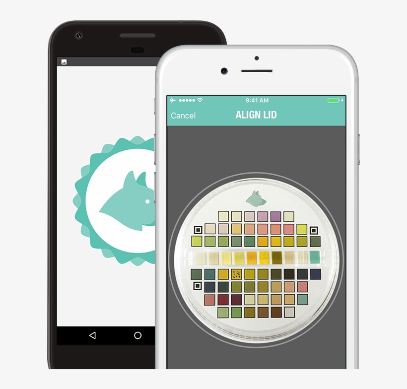 Get The Phone App - Mobile App, transparent png download