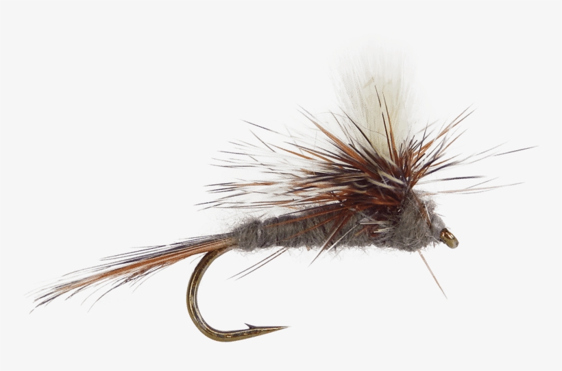 Adams Parachute Fly, Mayfly Pattern For Trout, Adams - Fly Fishing, transparent png download