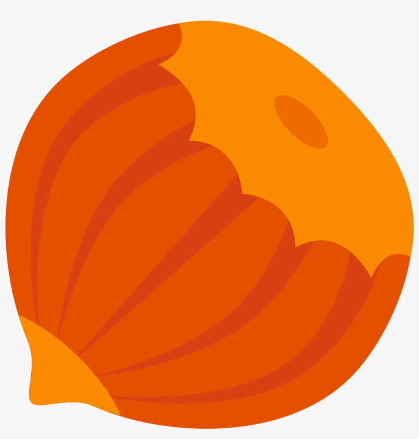 This Icon Represents A Hazelnut - Hazelnut, transparent png download