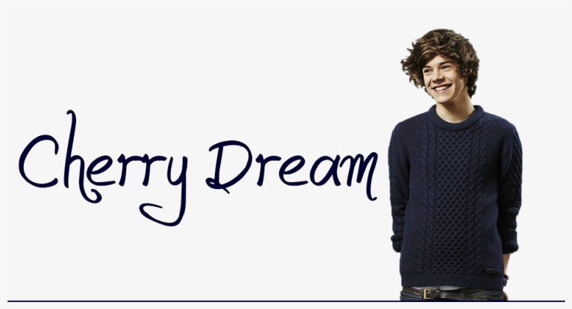Paul Wesley Desembarca No Brasil =) - Harry Styles Wearing Flower Crown, transparent png download