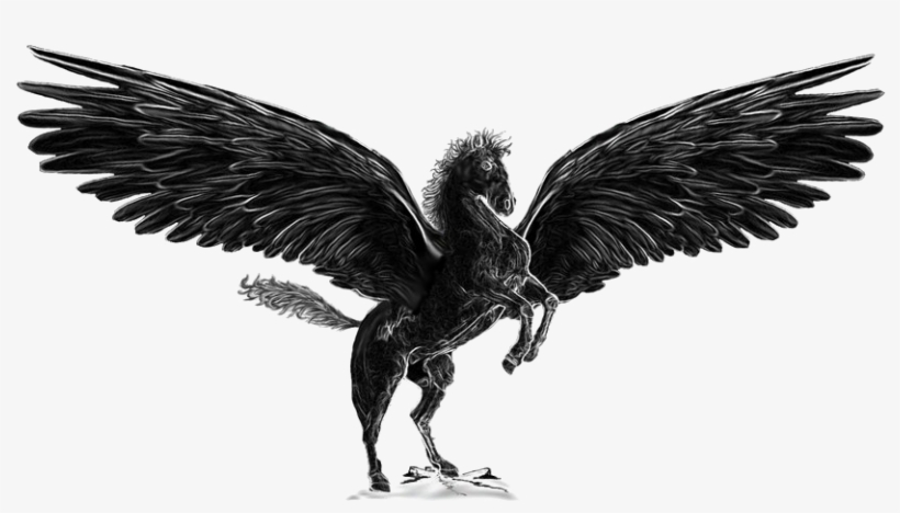 Pegasus Png Image, transparent png download