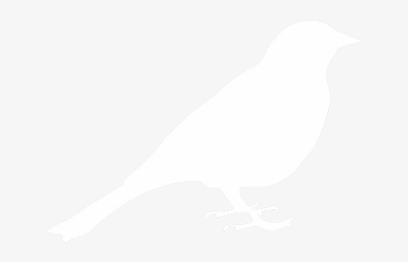 Bird Boxes - Weiße Vogel-servietten Servietten, transparent png download