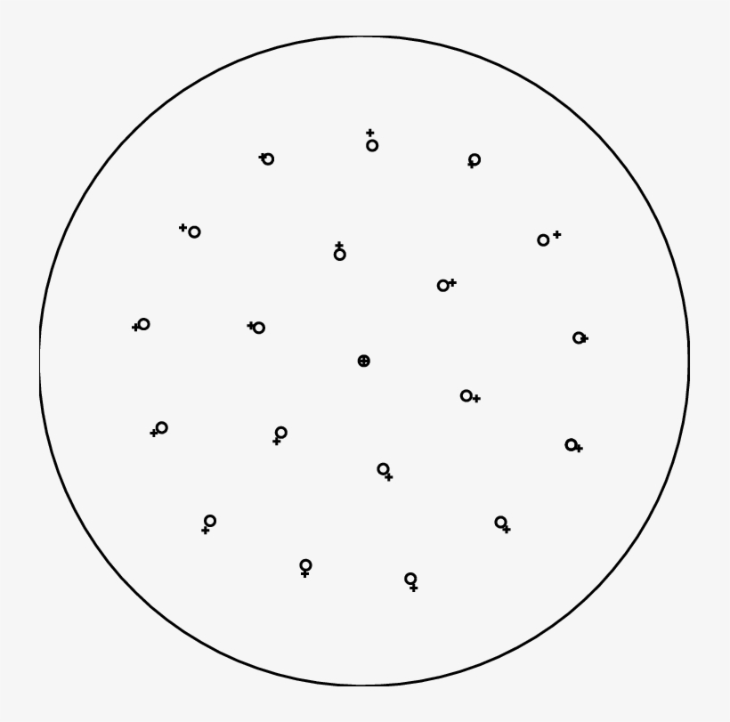 The External Circle Is The Confining Ring, The Small - Circle, transparent png download