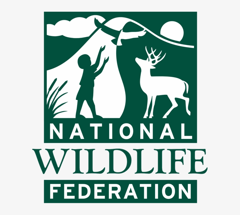 #national #wildlife @nwf Working To Inspire Americans - National Wildlife Federation, transparent png download